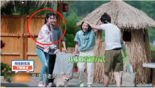 女嘉宾|《向往的生活》唯一能听懂大华讲话的女嘉宾