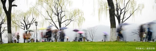七律.淅淅春雨万丝柔