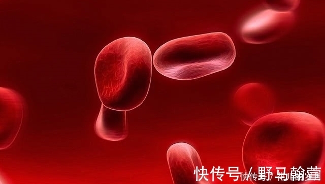 c世界最强企业仅300员工却垄断全球,一台机器8亿但要等2年