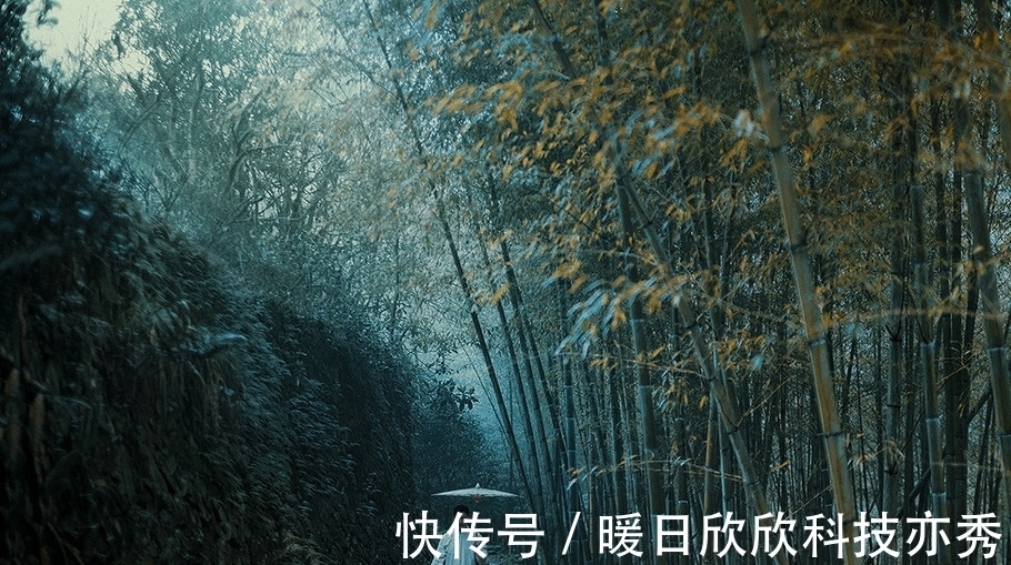 南山陲#王维最有境界的一首诗,其中一句妙不可言,打动了无数人