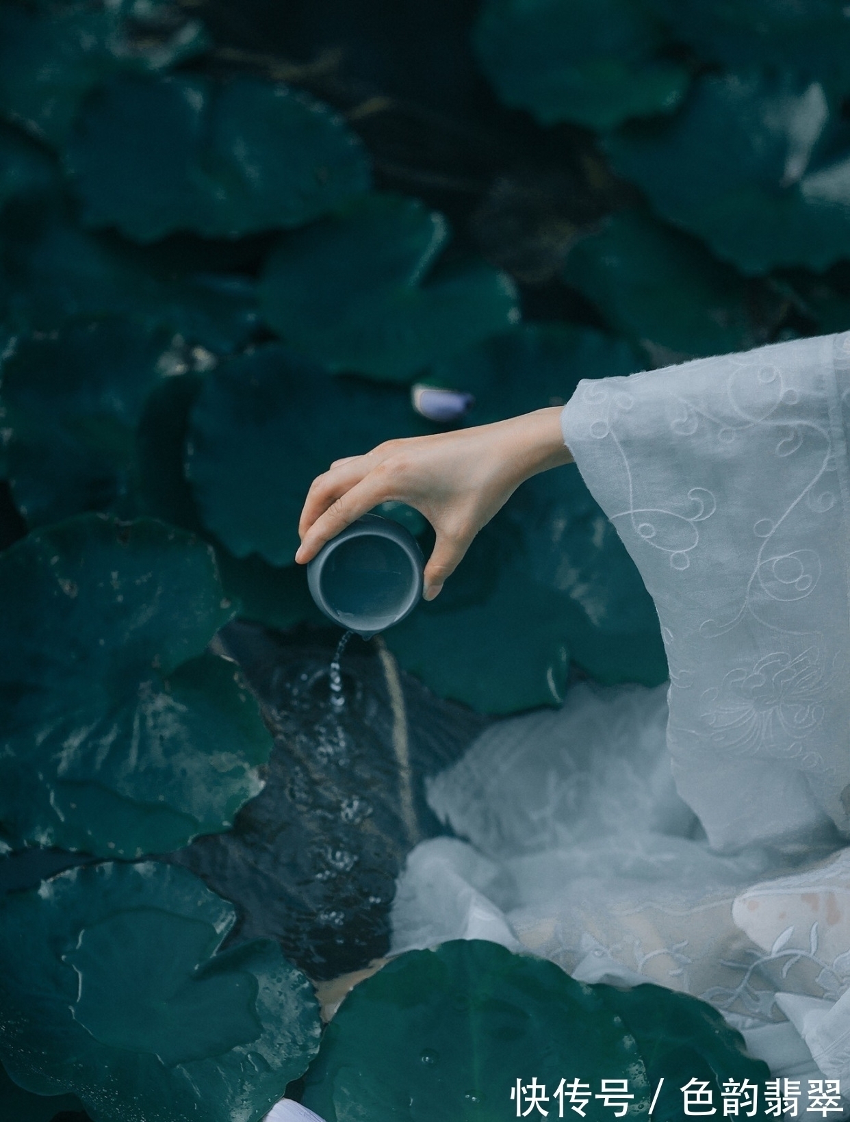 绛袍春浅护云暖&秋江渺渺芙蓉芳,秋江女儿将断肠,绛袍春浅护云暖,翠袖日暮迎风凉