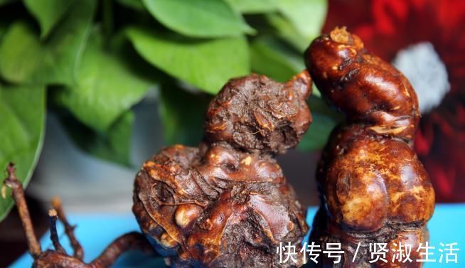 枸杞子|男人不想老太快,多吃天然“雄激素”,唤醒“肾动力”