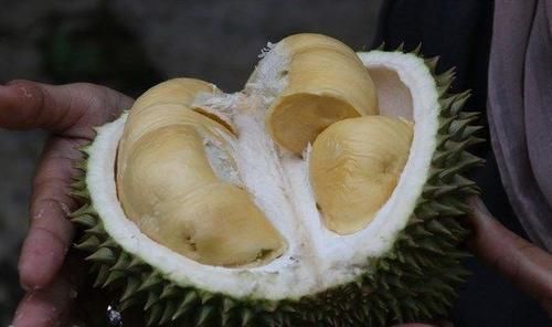 排毒养颜|对身体很好的三种食物，营养丰富、滋补身体，好吃又不贵！