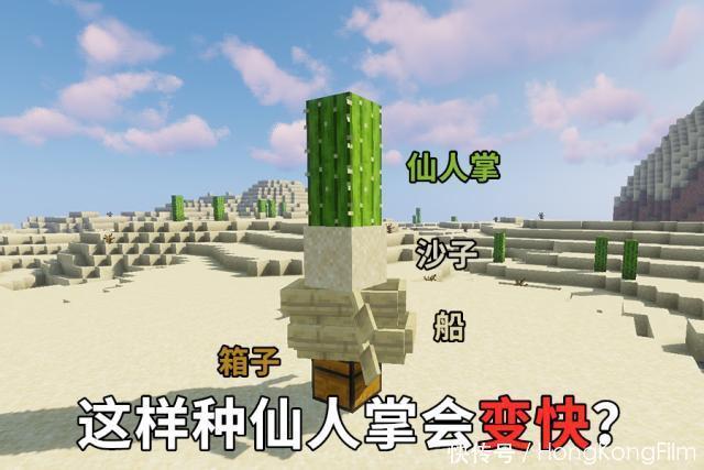 我的世界 让骨粉都无奈的仙人掌 用船可以1秒长1格 是真是假 发布文章