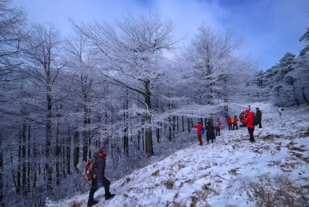 美景|华顶迎今年首场雾凇！天台山美景刷爆朋友圈！