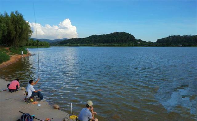 别再琢磨怎么调漂才精准，试试这种方法，不用调漂也能钓