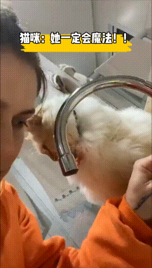 |搞笑GIF趣图：小姐姐这切萝卜的动作，可真不敢惹啊！
