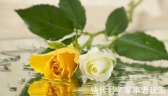 8月底，冰释前嫌，旧爱回头，真情回暖，深情款款，牵手便是永远