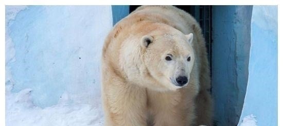 营养物质|母乳不足是有原因的,哺乳期别做3事,做的越多,母乳越少