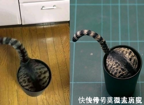 小猫|全球的猫都想屏蔽这个日本人,他到底做了多少沙雕手办?