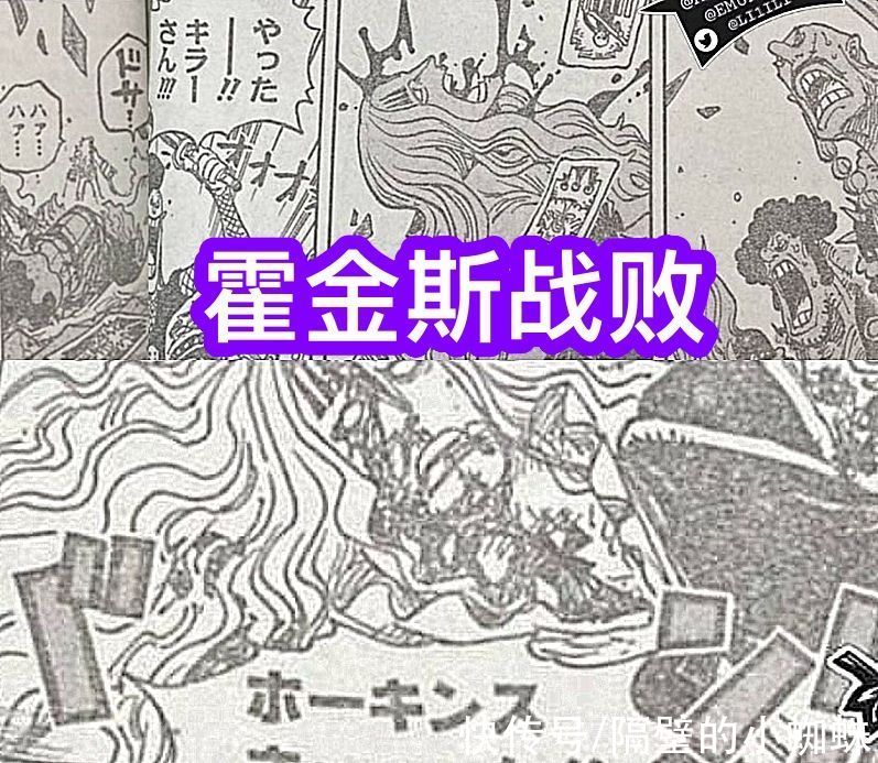 蜘蛛|海贼王1029话：尾田上演“PPT打斗”，基拉击败霍金斯，却不激情