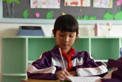 老师#高中生写字“太笔直”,作业本像是在画“栅栏”,老师:看着就晕