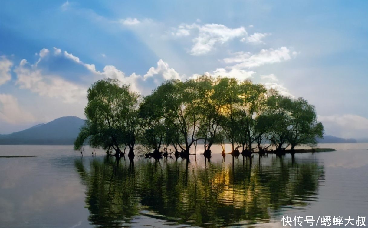 江苏有个游客舍不得走的世外桃源，一步一景，宛若水墨画