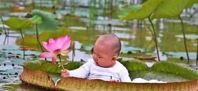 宝宝|宝爸带宝宝去乡下玩，拍了很多照片，宝妈看到照片，不淡定了