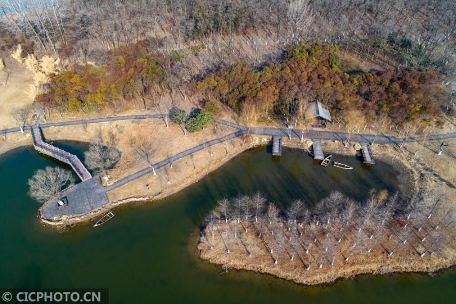 江苏淮安：天然氧吧古淮河国家湿地公园