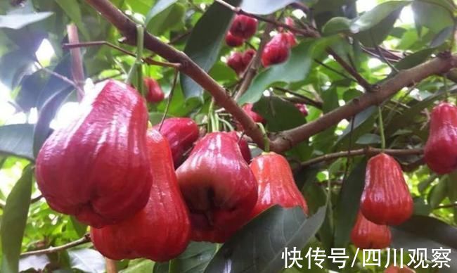 新冠疫苗|早安丨全国新冠疫苗接种总人数超11亿