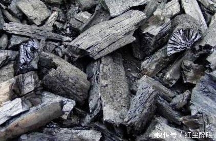 这3种常见的垃圾不要扔,拿来放盆栽里,10年不烂根不黄叶