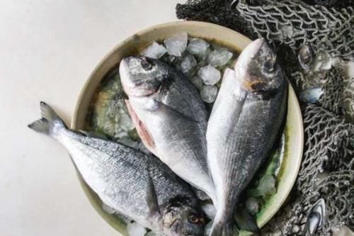 增强|宝宝满6个月以后，多吃这几种辅食，增强抵抗力，还能促进发育！