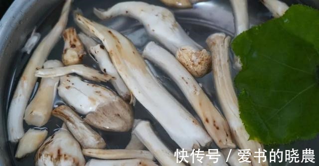 舌尖|「舌尖上的永胜」之鸡枞油！
