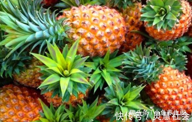 茄子|秋季养生要会吃,推荐4种食物,排毒清肠,增强体质,早吃早受益