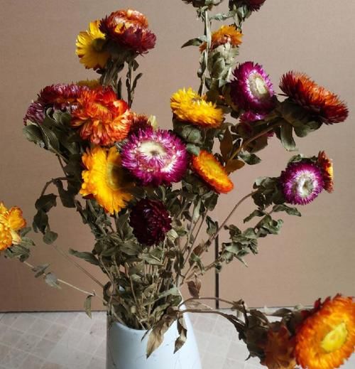 知道怎么给鲜花保鲜吗？制成干花，每一朵都能变成“永生花”