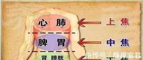 按摩|把这里的“硬结”揉开,中焦打通了,很多病就好了