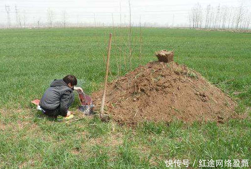 叫法|同样是人死后安葬之所,为何有坟,墓,冢,陵四种叫法?有何深意