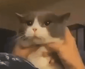 |【被窝段子20220127】人生从哭声开始在泪水里结束,这中间叫做幸福