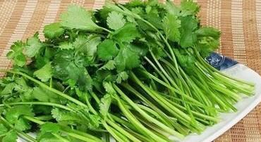 效果|香菜放入锅内煮一煮，效果太喜人了，解决了很多人的大难题