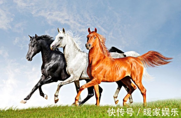 好运气|生肖马,你名字中若带有这些“字”,一生福泽深厚,财源不断!