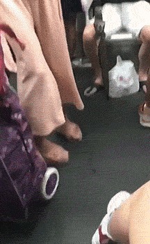 |搞笑GIF:花大价钱来看的表演 你们说我是不是被骗了