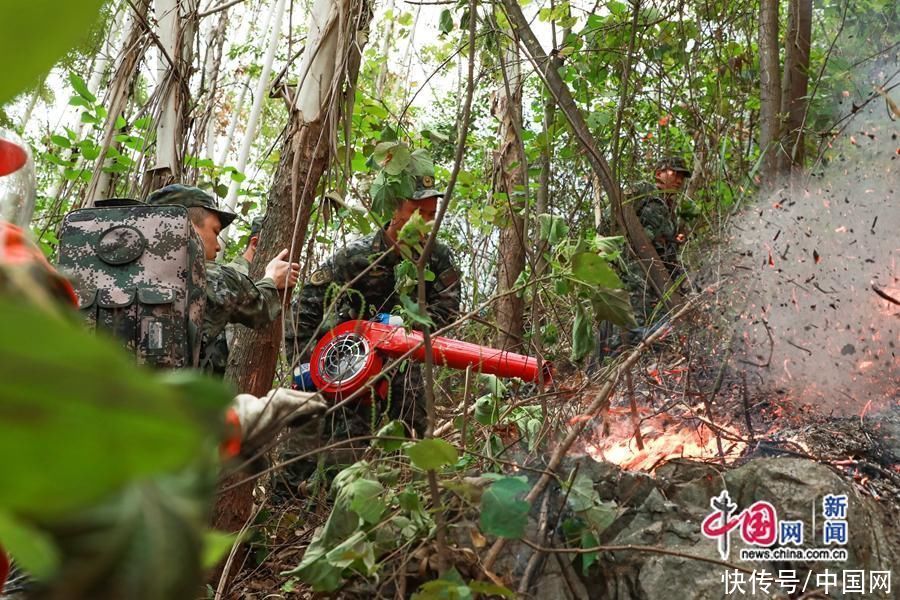 广西河池突发山火！武警官兵紧急驰援