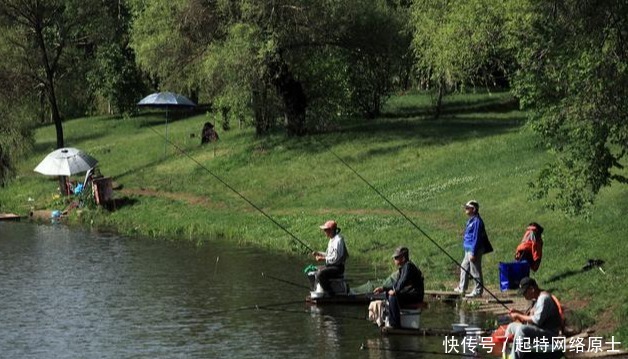  近岸|秋分前后钓鱼，想爆护一点都不难，老钓手都爱这样钓，你也可以