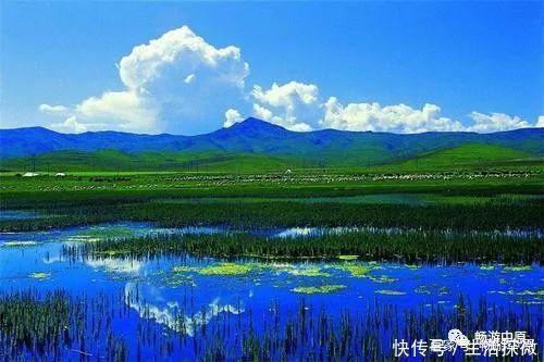 草原|走进甘肃甘南,藏民心目中的圣地