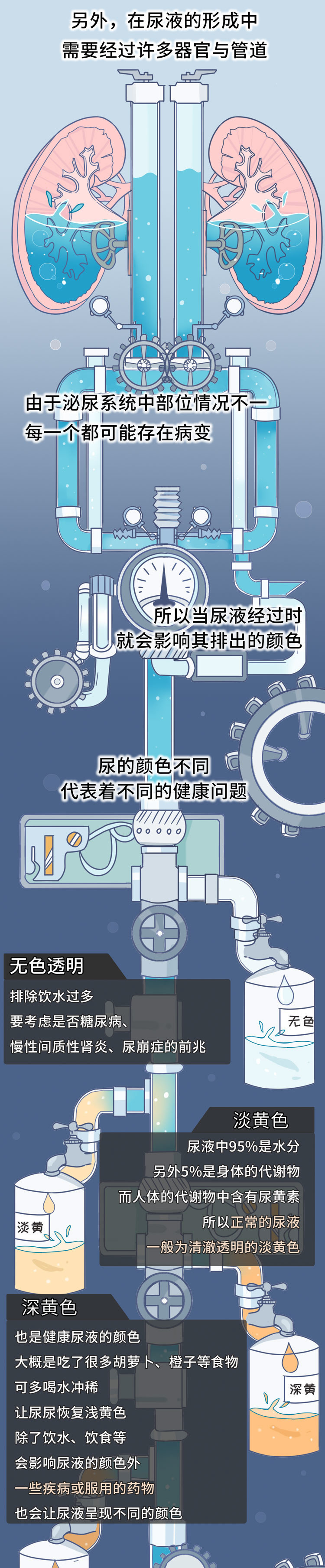 尿液的颜色越浅越好?尿越多说明肾脏越健康?尿液的秘密一文说清