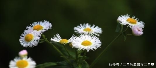 射手座|开窍之前，常常被感情捆绑，清新雅致，高远辽阔，不简单的星座