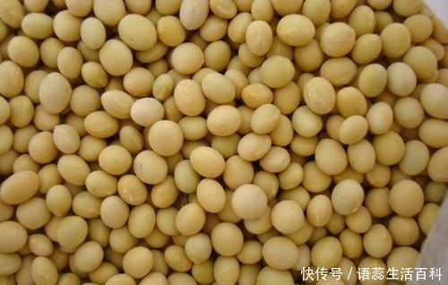 出油率|2元多一斤的大豆，压榨出油率不超过15%。为什么卖那么便宜？