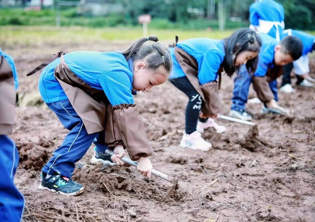 附属东坡外国语学校|封面研学｜“双减”后时代，校园劳动教育这样做