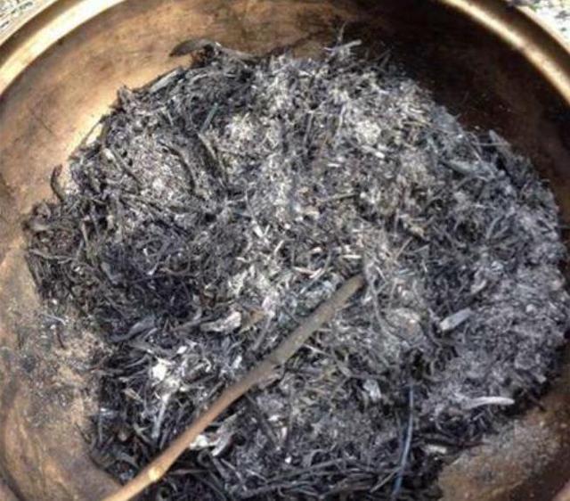 花盆下垫上“4料”,胜过磷酸二氢钾,养啥花都旺