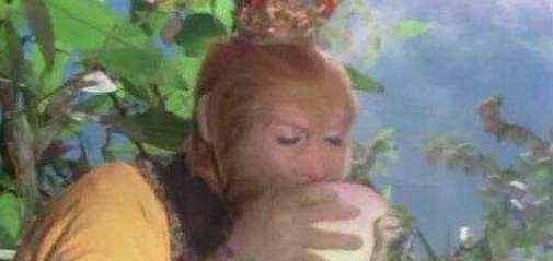 86版西游记$西游记中,为什么孙悟空只咬一口蟠桃就扔掉,背后真相叫人佩服!