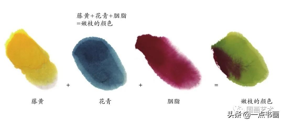 牡丹$写意牡丹的常用配色与创作解析