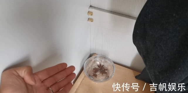 佳俊|白醋里放几粒八角泡一泡，解决了家家户户的难题，真实用学学吧！