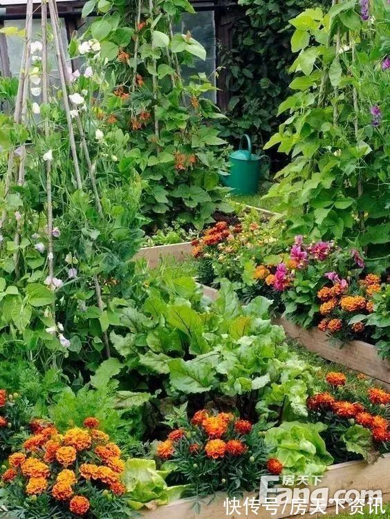 潍坊|新鲜出炉！帮你搜集潍坊其它楼盘现场的最新美图