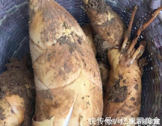 买竹笋,挑长的好还是粗的好?菜农:买错了难吃,浪费钱!