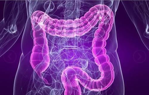 膀胱壁|想不生病,肚里常空!经常保持“四大皆空”,健康更长寿