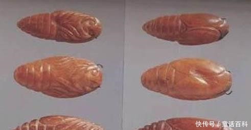 公主墓葬富丽堂皇,2000多件文物中,一串琥珀的意义最为重大!