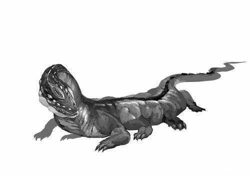 大鲵!人鱼是真实存在的吗?山海经给了我们答案,人面鱼身现存于世