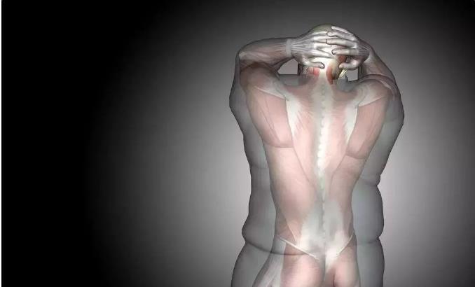 健身|运动训练前能不能吃东西?空腹运动优缺点一次分析清楚