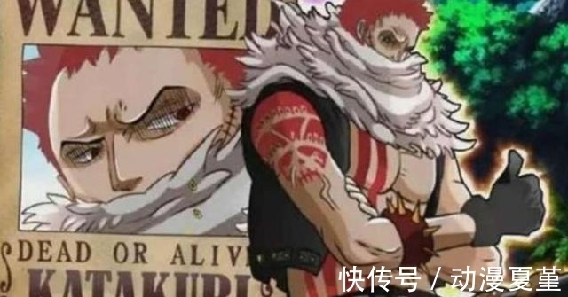 海米|海贼王:国外粉丝画出凯多儿子容貌!赏金超16亿,气场比卡二还猛