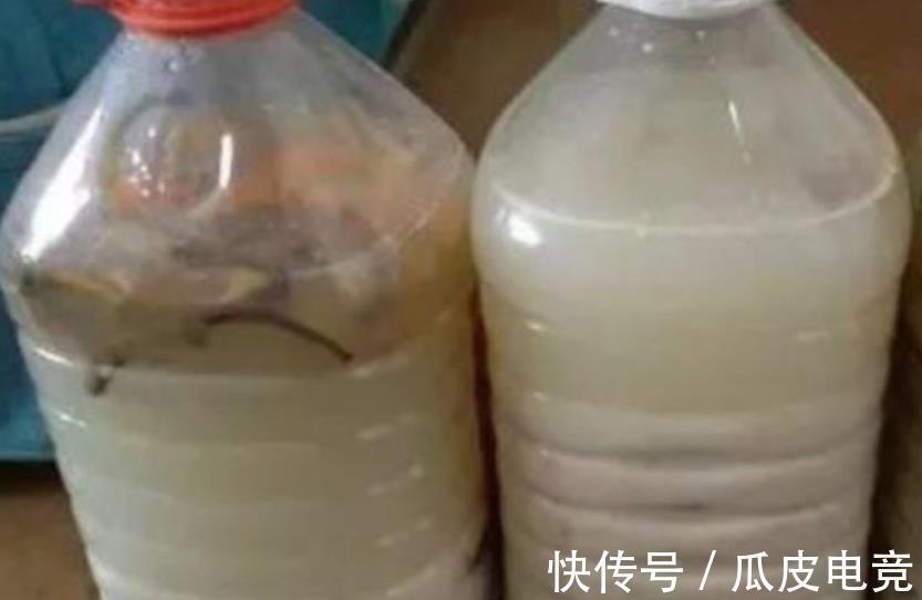 养花常见的5个误区，难怪花花养一盆死一盆，你中了几招？